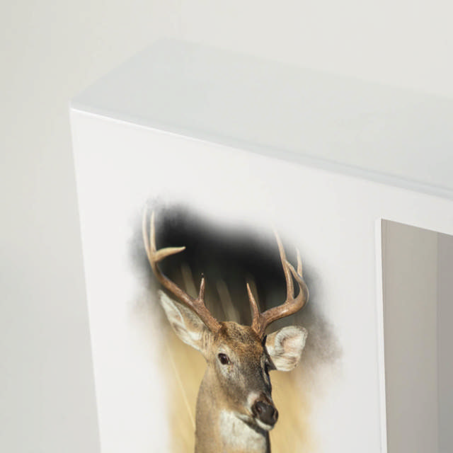 Shadowbox Remembrance Keepsake White-Tailed Deer