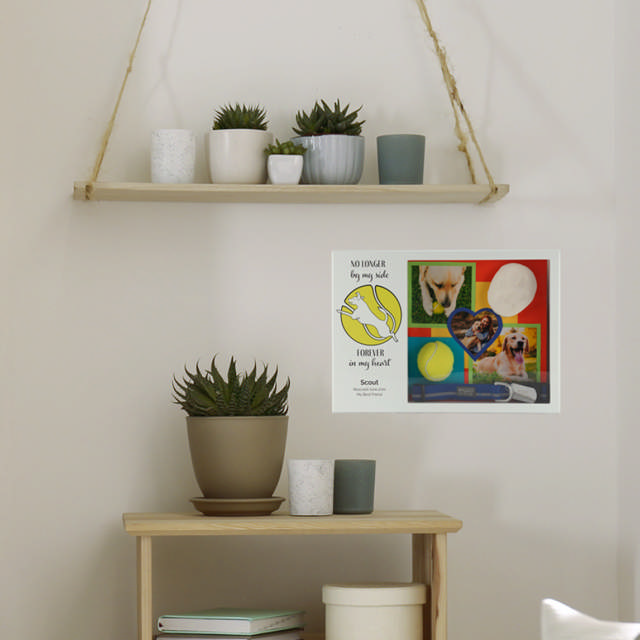 Shadowbox Pet Urn Forever Tennis Ball