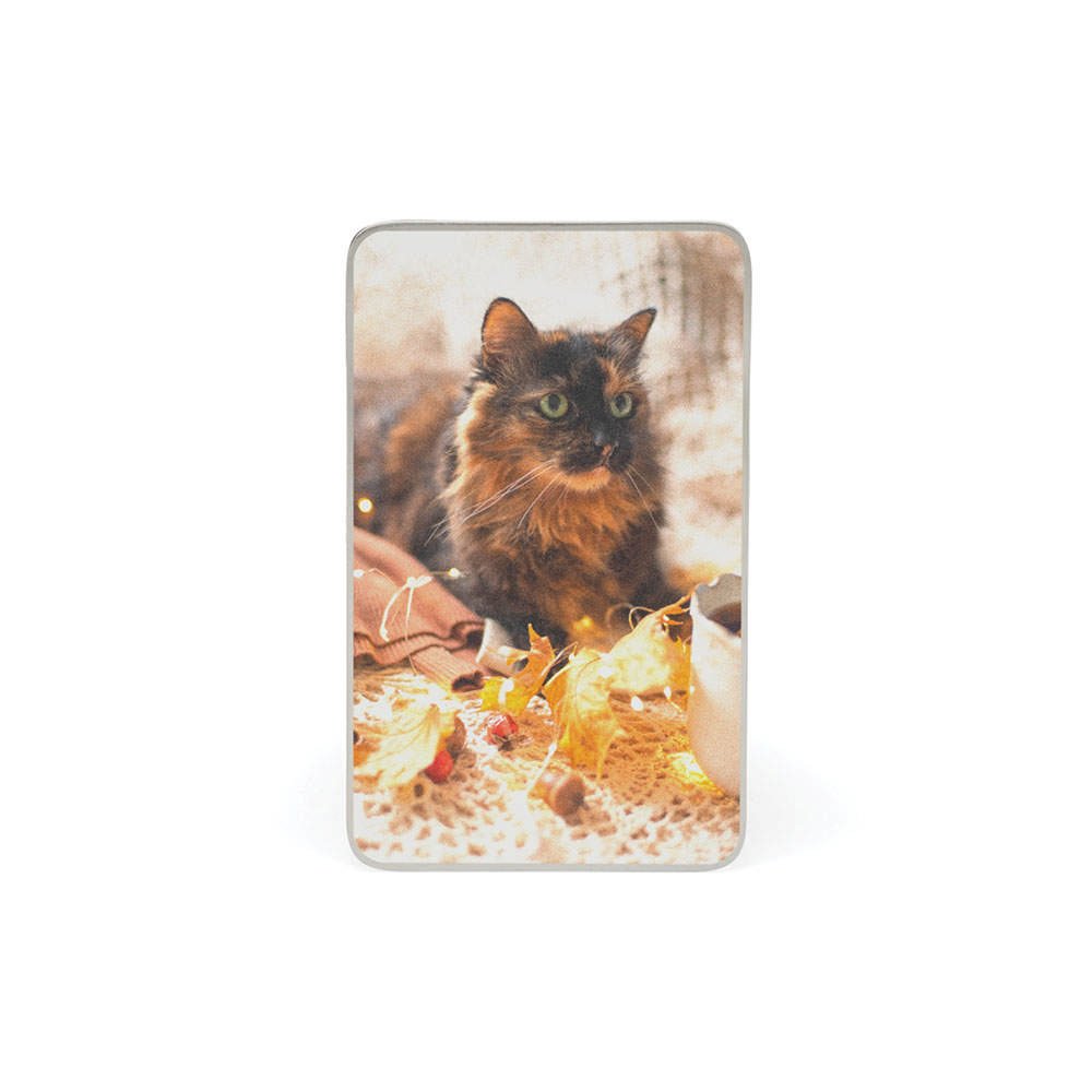 Photo Pet Memorial Card