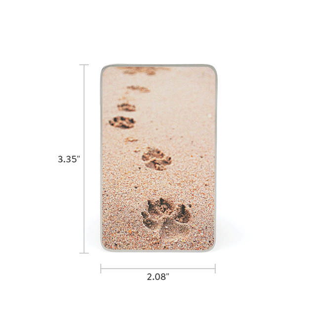 Paws in Sand Pet Memorial Card