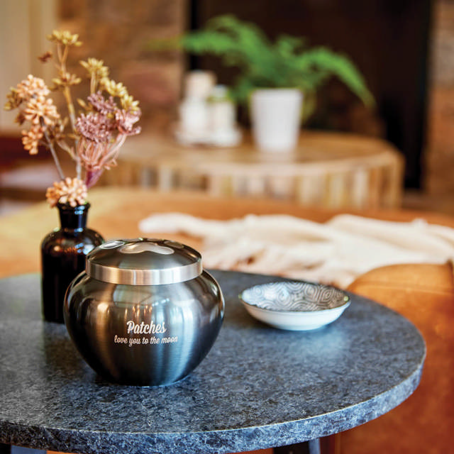 Odyssey® Slate, Extra Small