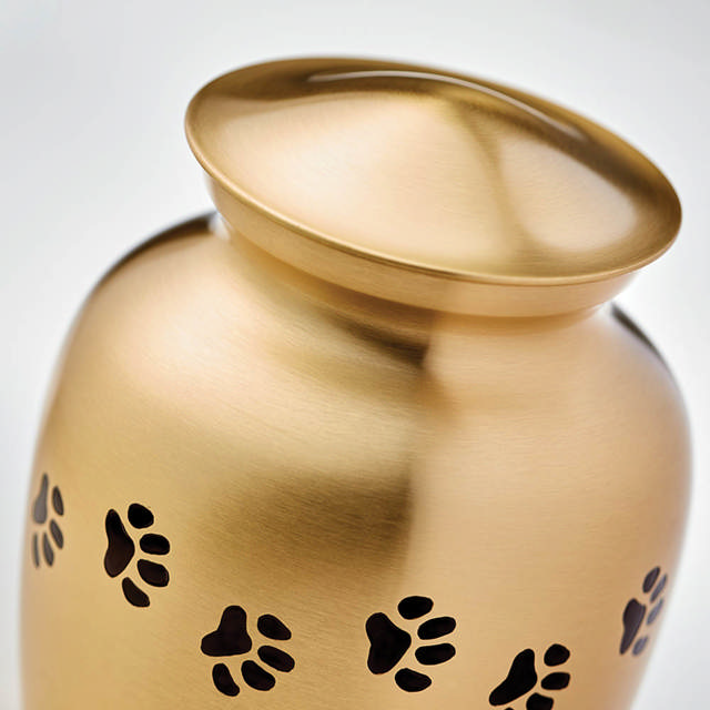 Classic Paw Brass, Small Urn