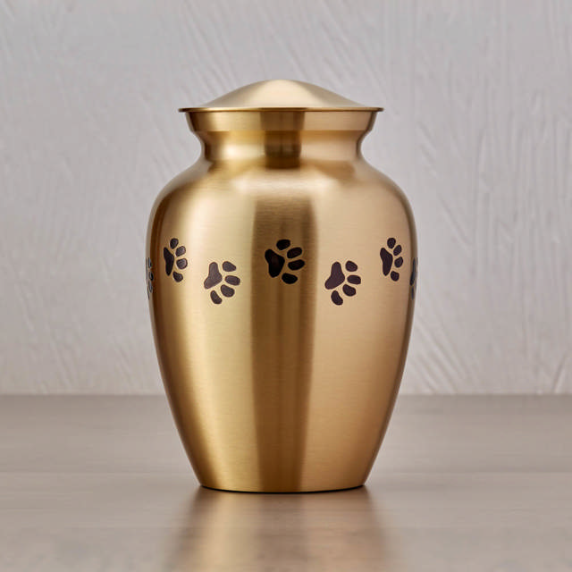 Classic Paw Brass, Extra Small Urn