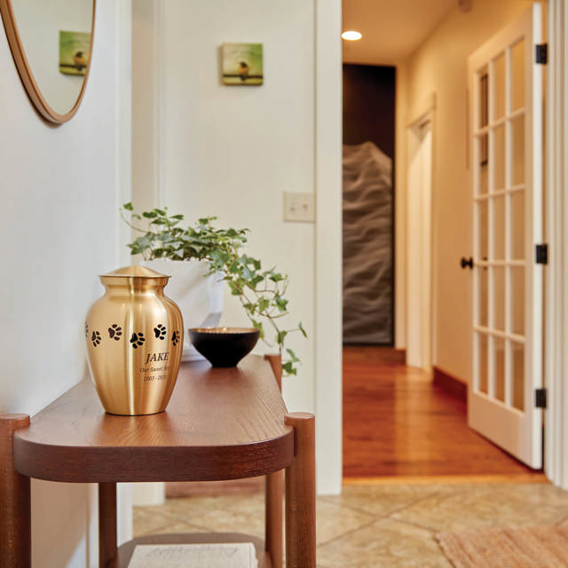 Classic Paw Brass, Extra Small Urn