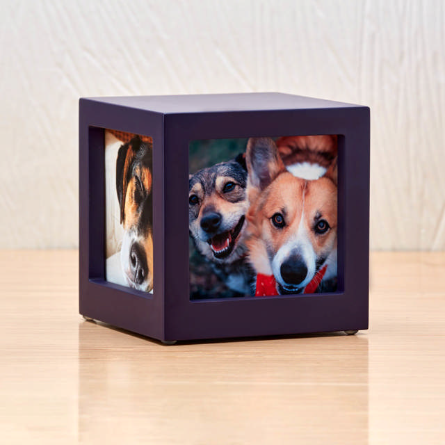 Photo Cube Violet, Extra Small Urn