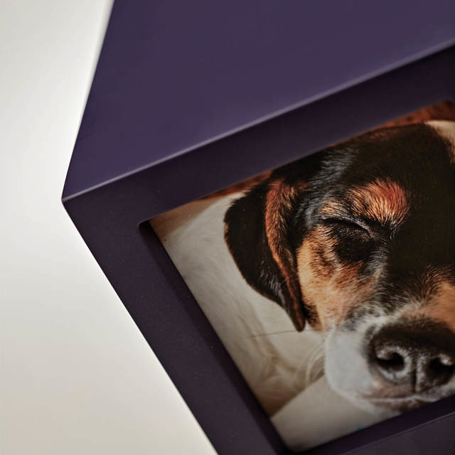 Photo Cube Violet, Small Urn