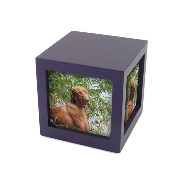 Photo Cube Violet, Small Urn