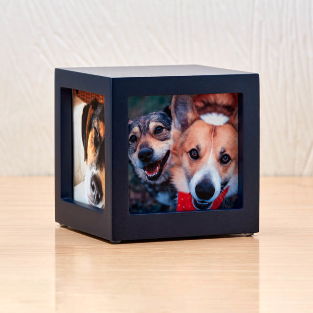 Photo Cube Navy, Petite Urn