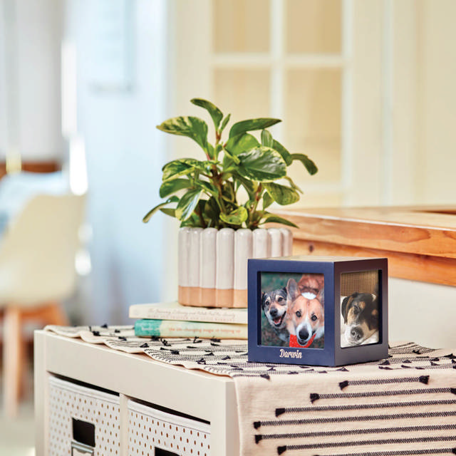 Photo Cube Navy, Petite Urn