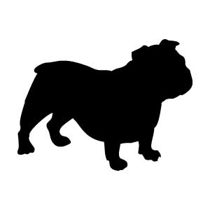 Bulldog