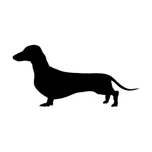 Dachschund