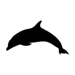 Dolphin
